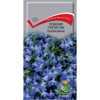 ������� ��������� ������� ������