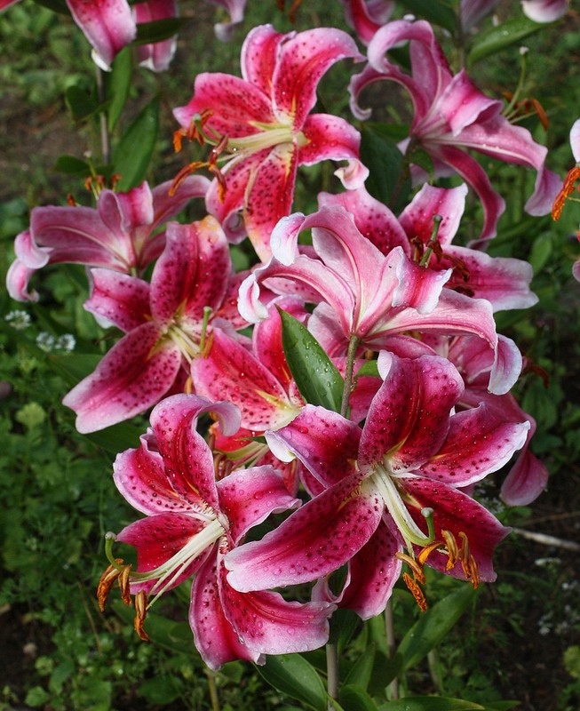 f1_6c920f88-a185-4ead-8409-6603523b155a f1_6c920f88-a185-4ead-8409-6603523b155a