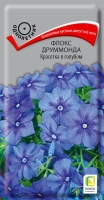 floks_drummonda_krasotka_v_golubom