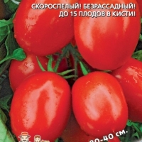 ����� ��������������� �����������