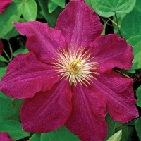 f1_3dde7d30-99c2-4f0d-a49d-10cc67cb3eac f1_3dde7d30-99c2-4f0d-a49d-10cc67cb3eac