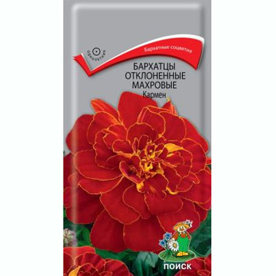 ��������-����.-������-����