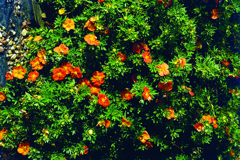 f1_b50cfa53-c428-4797-aee0-e123ec59fdb3