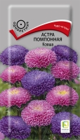 astra_pompon_ksusha astra_pompon_ksusha