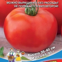 НоменклатураПрисоединенныеФайлы НоменклатураПрисоединенныеФайлы