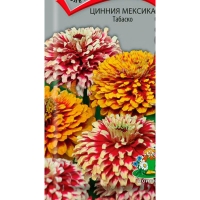 ������ ������� �������