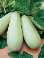 f1_56d8a1c0-da5c-446d-8e5a-d8080b8b83f5 f1_56d8a1c0-da5c-446d-8e5a-d8080b8b83f5