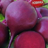 893769fb-bb3e-11e7-898e-34e6ad379f8c.php_528x1000_pc