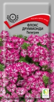 floks_drummonda_piligrim floks_drummonda_piligrim