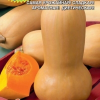 �������������������������������