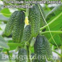НоменклатураПрисоединенныеФайлы НоменклатураПрисоединенныеФайлы