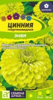 цинния энвиd цинния энвиd