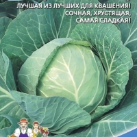 Капуста белокочанная Теща золотая (улучшенная) Капуста белокочанная Теща золотая (улучшенная)