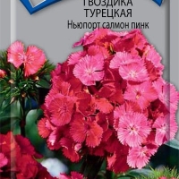 ������ ������� ����