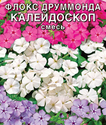 f1_068826af-b5b3-4c42-bbea-0b25ebd4f9b1