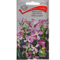 �������������������������������