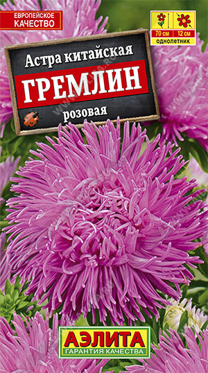 астра гремлин роз астра гремлин роз