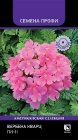 verbena_kvarc_pink verbena_kvarc_pink