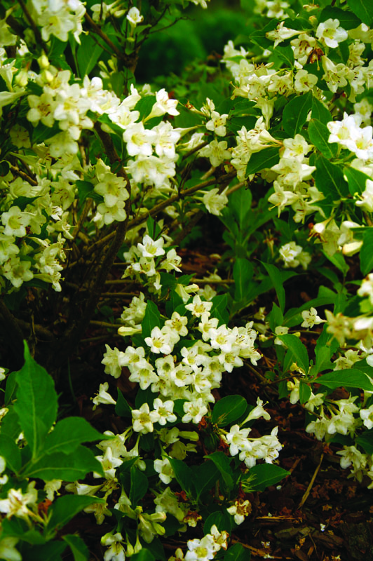 f1_46db1f6a-fcb1-444e-946f-98181e6be2fc