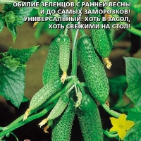 НоменклатураПрисоединенныеФайлы НоменклатураПрисоединенныеФайлы