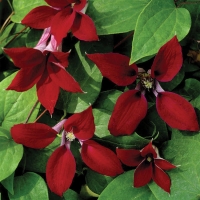 f1_76c89af4-241f-43fa-9033-63142270db27 f1_76c89af4-241f-43fa-9033-63142270db27