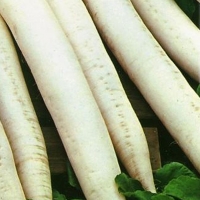 ������-��������-��