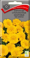 barhatsy_otklon_mahrov_boy_zolotie