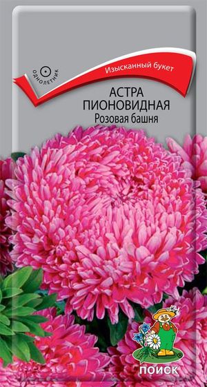 19111