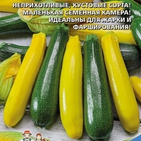 �������������������������������