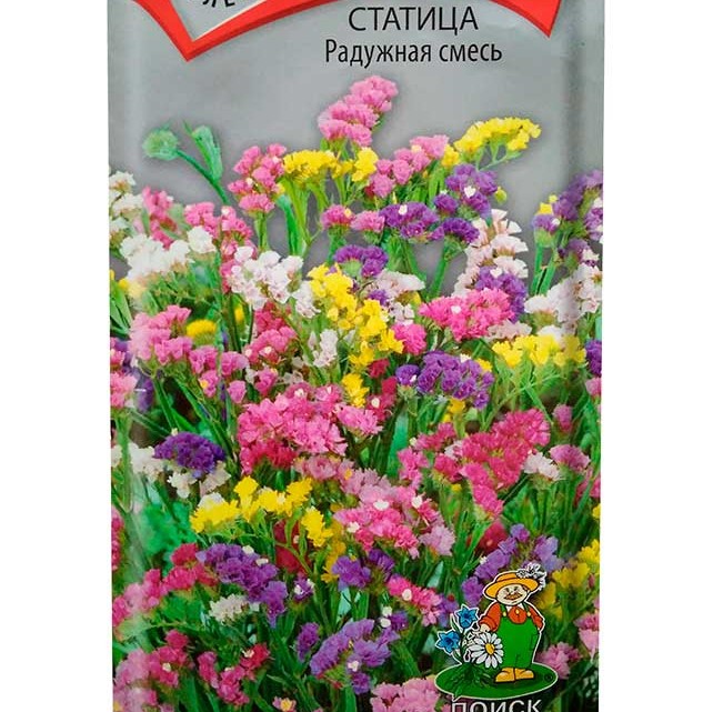 Статица Радужная смесь Статица Радужная смесь