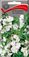 balzamin_tom_samb_bely balzamin_tom_samb_bely