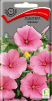lavatera_lavlains