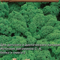 �������������������������������