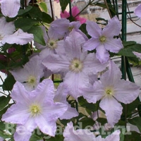 f1_56e709cc-a36f-41a2-880f-d04fc52e01c0 f1_56e709cc-a36f-41a2-880f-d04fc52e01c0