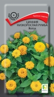 ������ ����� ���ya