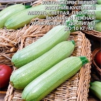 �������� ����