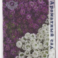 ������� ��������� ���