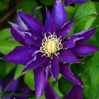 НоменклатураПрисоединенныеФайлы НоменклатураПрисоединенныеФайлы