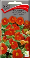 nastrucia_nizkorosl_alyaska_scarlet