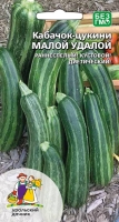 kabachok-cukkini-maloy-udaloy
