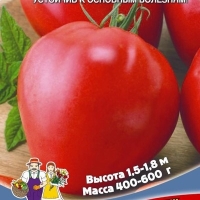 ����� ����� ������ ���������