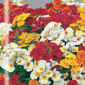 �������������������������������