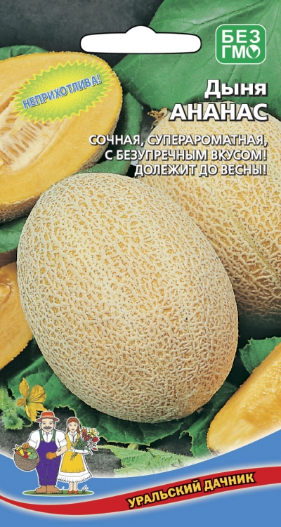 dynya-ananas dynya-ananas