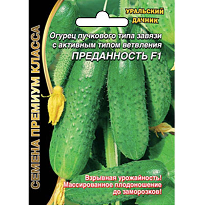 Преданность Преданность