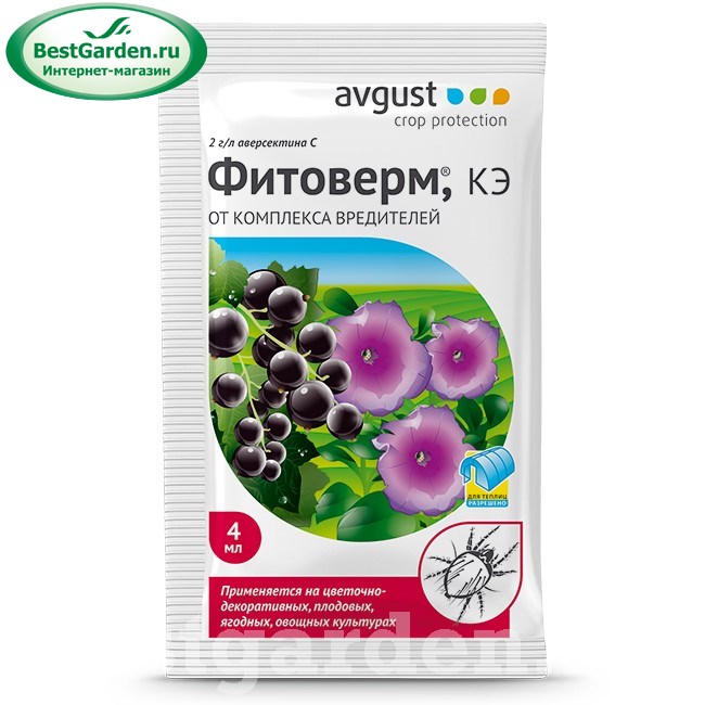 �������� 4