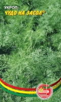 ukrop-chudo-na-zasol