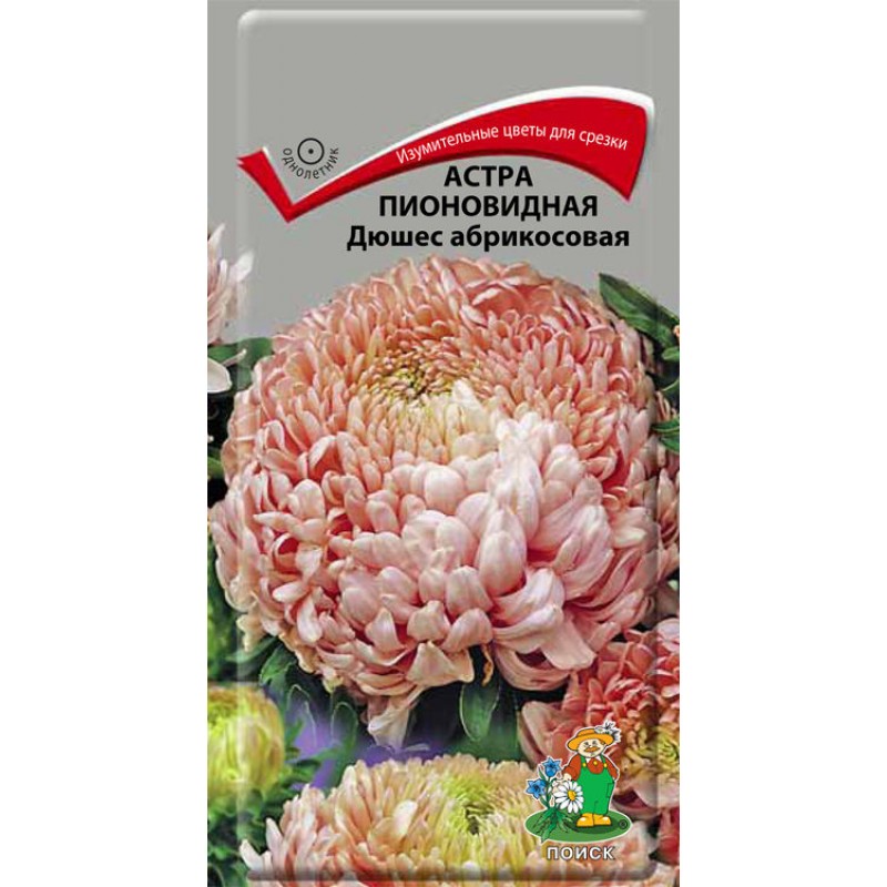 ����� ����� �����������