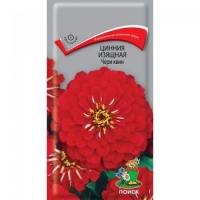 ������ ������� ���� ����