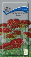 tisyachalistnik_kavaler