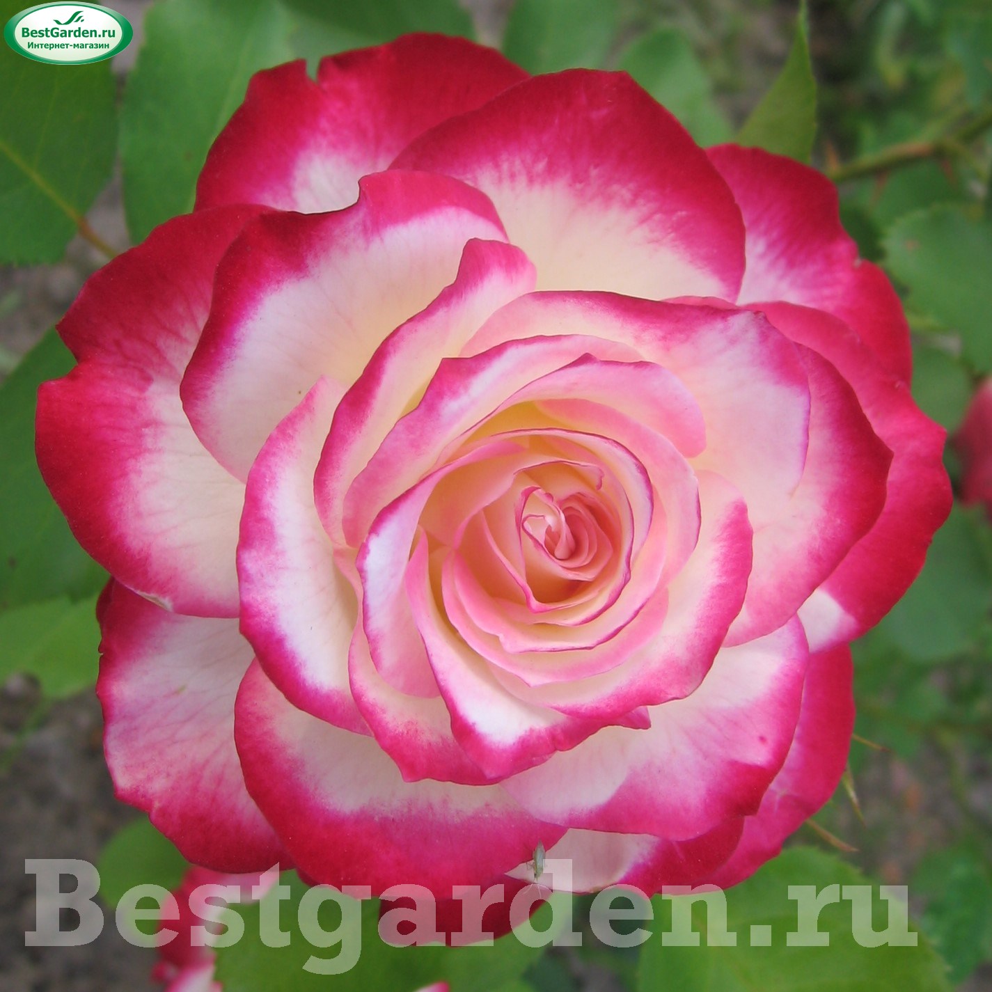 НоменклатураПрисоединенныеФайлы НоменклатураПрисоединенныеФайлы